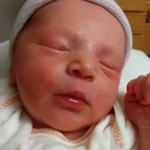 Meet your Posher, Bo